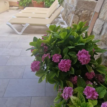 Ante 2 Apartment